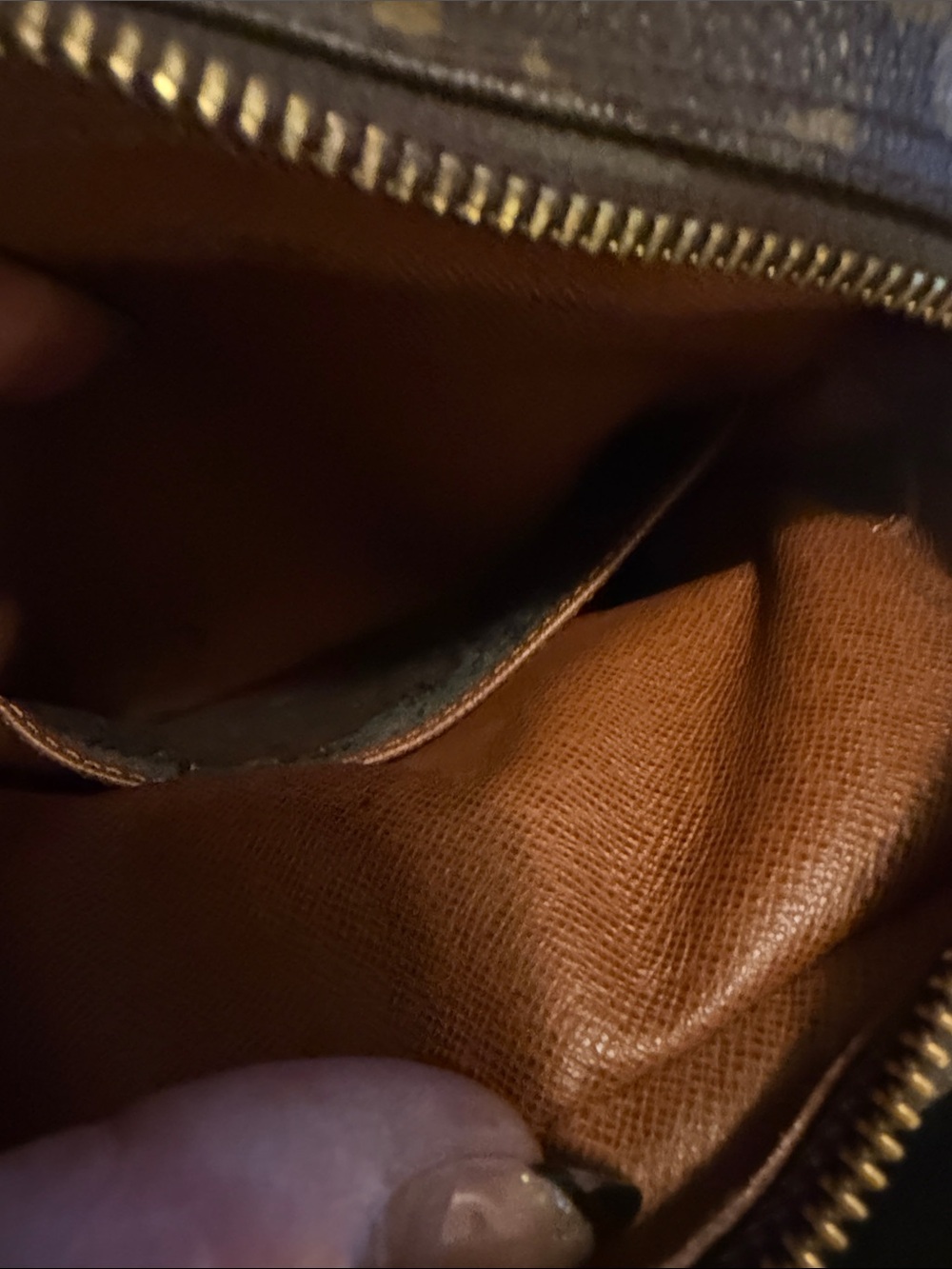 Louis Vuitton Amazon Crossbody Bag - Picture 4 of 7